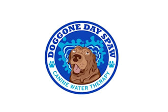 make shiny particular pool facility logo