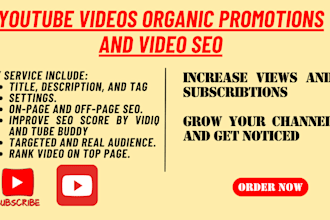 boost youtube channel organic promotion video SEO views subscribers