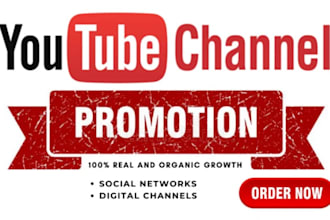 do youtube channel promotion and monetization