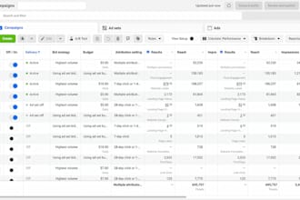 setup and manage facebook ads campaign