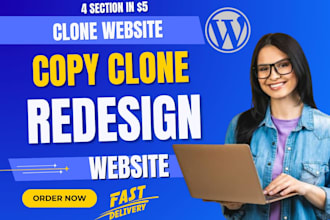 replicate website, clone website, duplicate website,copy clone redesign
