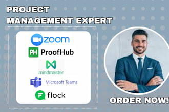 setup google workspace, zoom proofhub, mindmaster, microsoft teams, flock, toggl