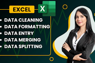 do ms excel data cleaning, formatting, data merge and data entry