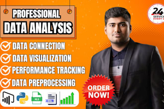 be your data analyst and power bi dashboard expert