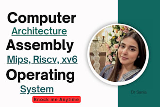 help in computer architecture, operating system, assembly, riscv and xv6