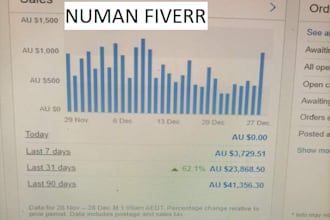 manage your ebay dropshipping account a to z