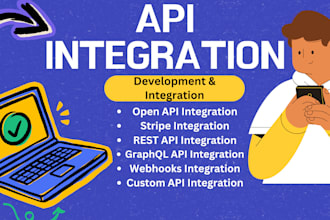 develop and integrate custom API