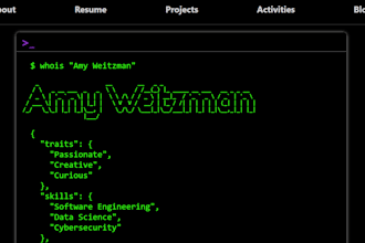 perform full stack software engineering services