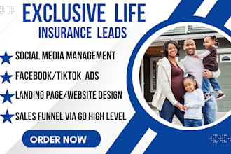 life insurance leads insurance leads life insurance iul leads insurance website
