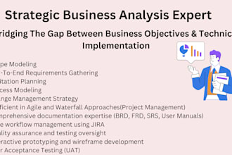 be your requirement business analyst and project manager