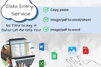 do excel, spreadsheet and word data entry