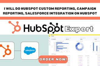 do hubspot custom reporting campaign reporting salesforce integration on hubspot