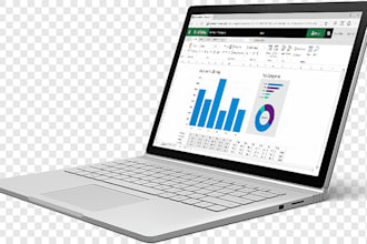 do conditional formatting in excel, mail merge in word, pie charts, bar graphs