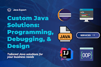 provide expert java programming, gui design, debugging, dsa, and custom solution