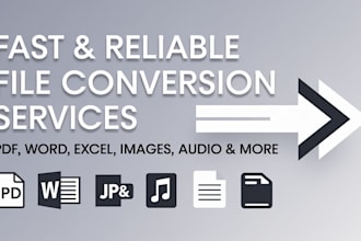 expert any file conversion service fast and accurate