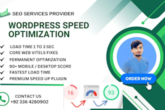 do wordpress speed optimization for google page speed insight