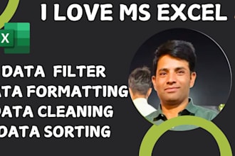 do data cleaning, formatting and filtering in ms excel