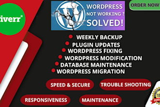 do wordpress website maintenance,support,edit, update, troubleshootin and bugs