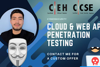 perform cloud penetration testing and vulnerability scanning