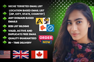 do niche targeted email list building for email marketing