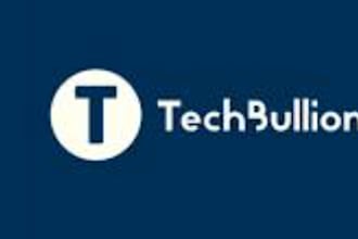 publish your article on techbullion,com