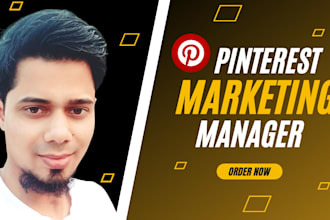 be your professional pinterest marketing manager