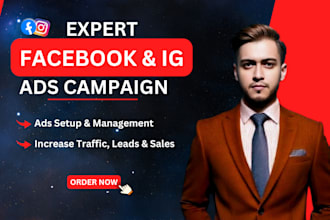 expertly managed facebook and instagram ads campaign