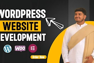 help in custom wordpress services widgets and security site
