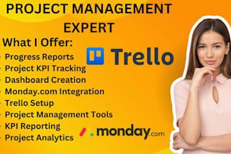 provide progress reports, project kpis , and interface on monday trello