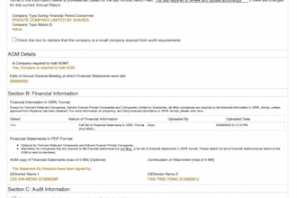 singapore offshore company for exemption  overseas income