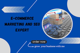 do ecommerce marketing and SEO expert