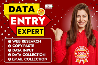 perform accurate data input, web research, copy paste work, and excel data entry
