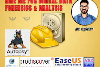 data recovery, file analysis, recovery, forensics