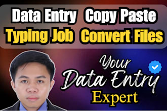 be your expert for data entry, copy paste, typing, and converting files