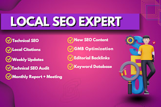 do SEO of brilliant directory and wordpress directory