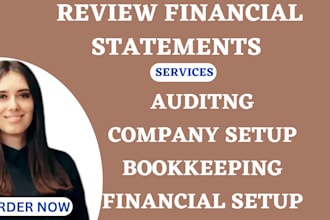 prepare and review your financial statements audit as USA cpa