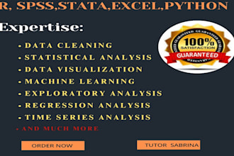 do any statistical project of spss,r programming, python ,excel and tableau