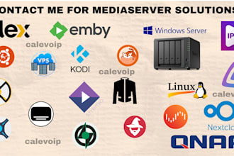 setup plex, emby, jellyfin, unraid, rclone, automate sonarr on plex server, nas