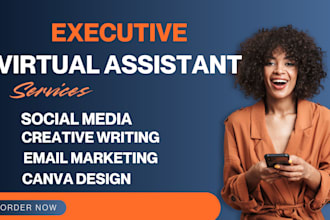 executive virtual assistant creative virtual personal assistant social media
