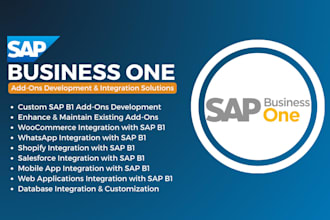 develop and customize sap business one add ons and integrations