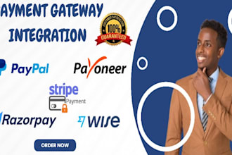 integrate payment gateway, payment api, paypal, stripe, razorpay,wise,payoneer