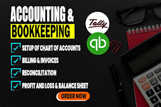 do accounting and bookkeeping in tally erp
