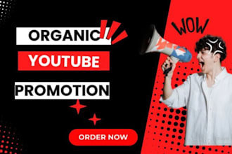 do youtube promotion for your channel videos with google ads for organic views