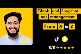 create tiktok and snapchat ads camphign