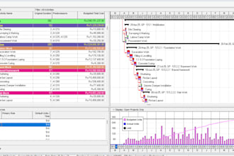 prepare detailed construction schedule using primavera