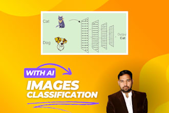build custom ai models for image classification and categorization