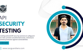 perform security testing for your apis and identify vulnerabilities