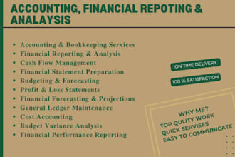 do accounting, financial reporting, analysis, projections and forecasting