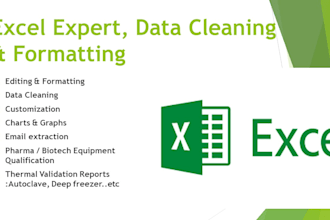 clean, format, merge, spilt, formulas, graphs excel data