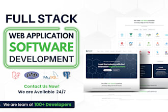 do custom ai software, full stack web application and software developer
